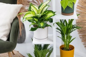 Stojan na kvety TOWER biely