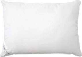 XXXLutz VANKÚŠ POD HLAVU, 40/80 cm Sleeptex - Prikrývky & vankúše - 005868021804
