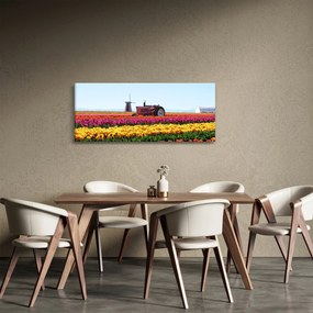 Obraz tulipánové farmy (120x50 cm)