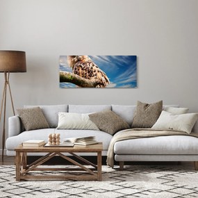 Obraz - Sova (120x50 cm)