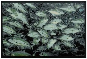 Premium rohožka- zvieratá  - ryby (Vyberte veľkosť: 60*40 cm)
