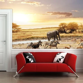Sablio Tapeta Safari - 125x75 cm