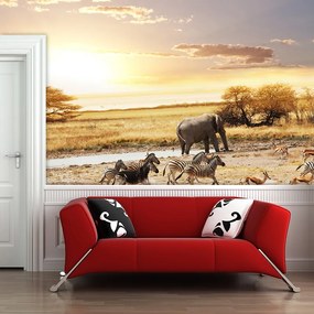 Sablio Tapeta Safari - 125x75 cm