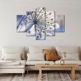 Obraz - Zamrznutý kvet (150x105 cm)