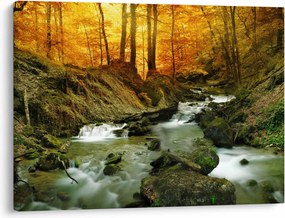 Obraz - Les (70x50 cm)