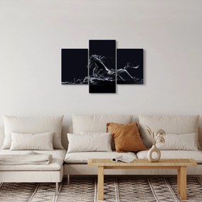 Obraz - Kôň a voda (90x60 cm)