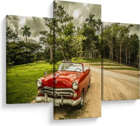 Obraz - auto veterán v prírode (90x60 cm)
