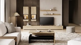 Štýlová obývacia stena Baros - dub san remo svetlý / čierna