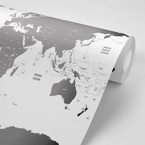 Tapeta mapa sveta s jednotlivými štátmi v šedej farbe - 375x250