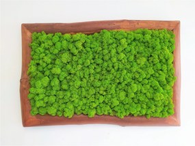 Machový obraz s masívnym dreveným rámom 50cm x 75cm