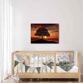 Obraz stromu pri západe slnka (70x50 cm)