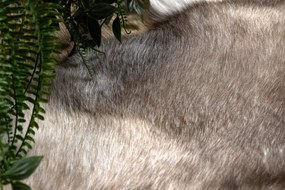 Koberec RENIFER POK014 hnedý / sivý