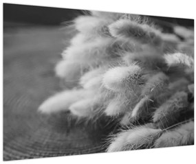 Obraz - bunny tail grass na stole (90x60 cm)