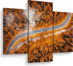 Obraz - Horská cesta (90x60 cm)