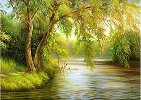 Sklenený obraz - Vŕba pri jazere, olejomaľba (70x50 cm)