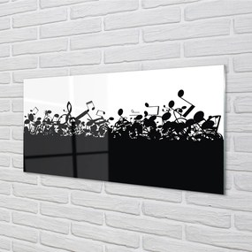Obraz plexi Čierna a biela poznámky 100x50 cm