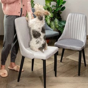 Stolička LOUIS zamatová sivá ALL 925485