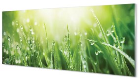 Obraz plexi Tráva slnko kvapky 120x60 cm