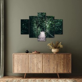 Obraz - Cesta lesom (150x105 cm)