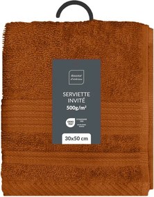 Froté bavlnený uterák v terakotovej farbe 30x50 cm Tendresse – douceur d'intérieur