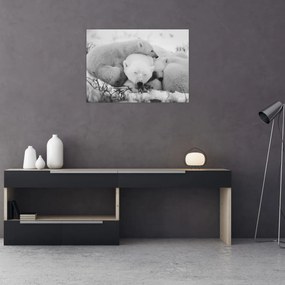 Obraz - Ľadové medvede (70x50 cm)