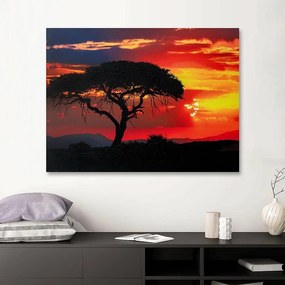 Obraz na plátne 90x120 Savannah pri západe slnka