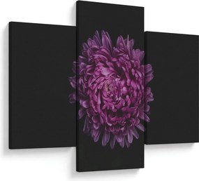 Obraz fialovej kvetiny (90x60 cm)