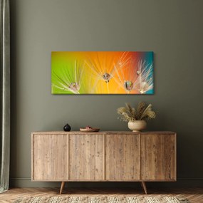 Obraz kvapiek na rastline (120x50 cm)
