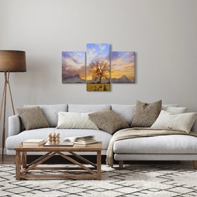 Obraz - Krajina so slnečnicami (90x60 cm)