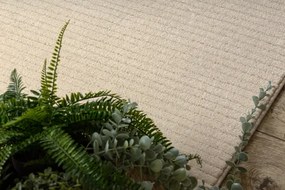 Koberec TEXTURA 488.23.LA100 Osta krémový