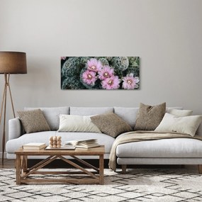 Obraz kvet kaktusu (120x50 cm)