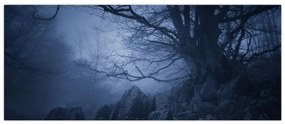Obraz temného lesa (120x50 cm)