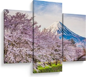 Obraz - Japonsko na jar (90x60 cm)