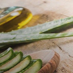 Obraz - Aloe vera (120x50 cm)