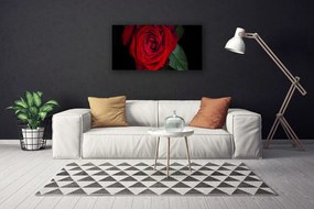 Obraz na plátne Ruže 100x50 cm