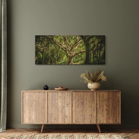 Obraz stromov (120x50 cm)