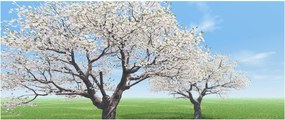 Obraz stromov (120x50 cm)