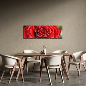 Obraz kvetu ruže (s hodinami) (90x30 cm)