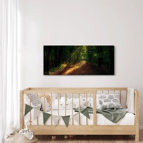 Obraz lesnej cesty (120x50 cm)