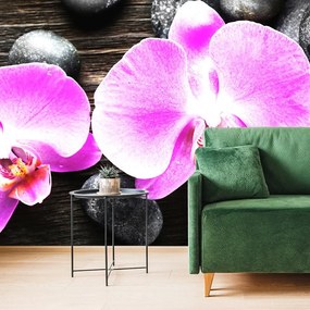 Samolepiaca fototapeta nádherná orchidea a kamene - 375x250