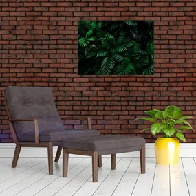 Sklenený obraz - Tropické papradie (70x50 cm)