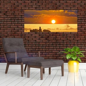 Obraz - Zebry so západom slnka (120x50 cm)