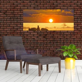 Obraz - Zebry so západom slnka (120x50 cm)