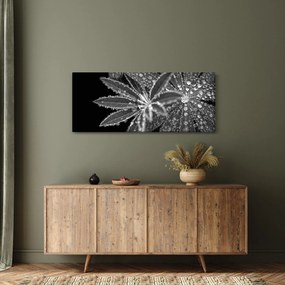 Obraz - Listy s kvapkami (120x50 cm)