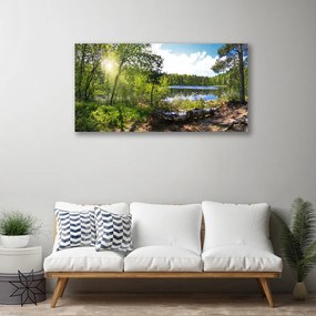 Obraz Canvas Les stromy jazero príroda 100x50 cm