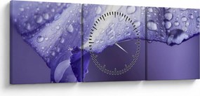 Obraz - Okvetný lístok s kvapkami (s hodinami) (90x30 cm)