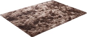 TZ Hnedý obdĺžnikový shaggy koberec Ombre Rozmer: 100x150