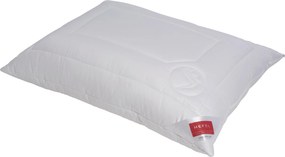 XXXLutz VANKÚŠ, 40/60 cm Hefel Textil - Prikrývky & vankúše - 004636001701