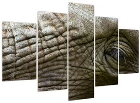 Obraz - Detailné fotografie starého slonieho oka (150x105 cm)