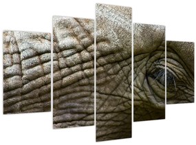 Obraz - Detailné fotografie starého slonieho oka (150x105 cm)